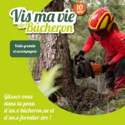 Vis ma vie de bûcheron