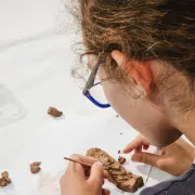 Visite-Atelier Enfant : Osiris Végétant au musée Champollion à Figeac