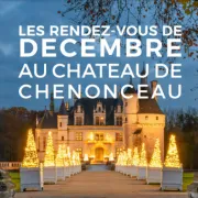 Visite commentée de la scénographie florale de Noël