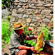 Visite commentée du Berger des abeilles