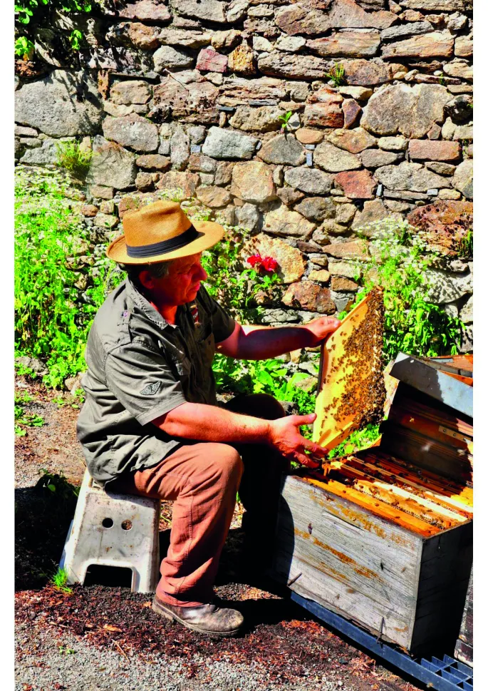 Visite commentée du Berger des abeilles