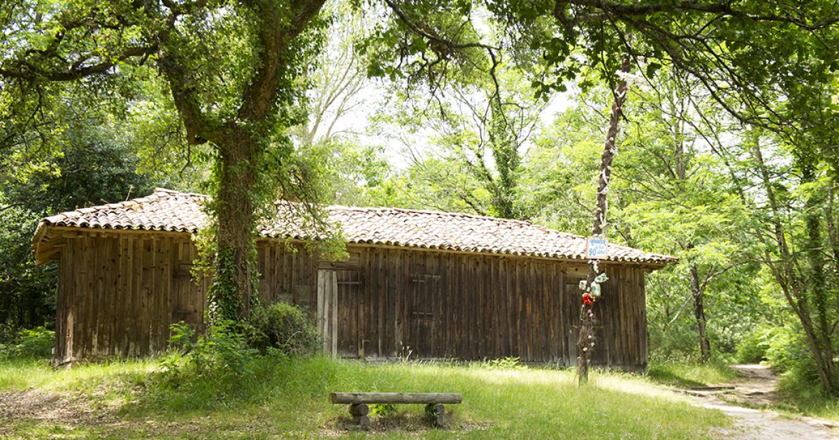 Visite de la cabane de la Nasse Léon 2024 date, horaires, programme