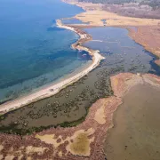 Visite de la Petite Camargue