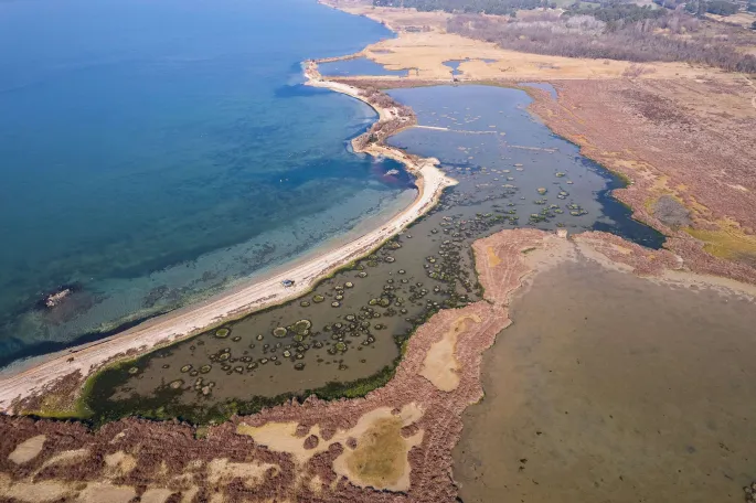 Visite de la Petite Camargue