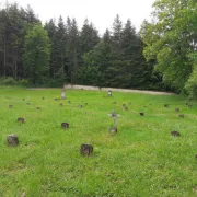 Visite De la prison à la tombe