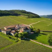 Visite du Musée de la vigne et du Vin