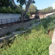 Visite du site archéologique de Tholon