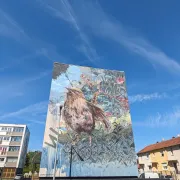 Visite guidée autour du street art à Laon