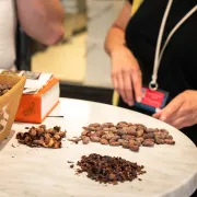 Visite guidée : Chocolat gourmand