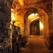 Visite guidée dans les coulisses de l\'histoire au Château royal d\'Amboise