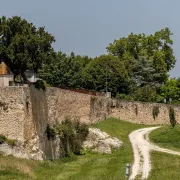 Visite guidée de la bastide - Fête des Bastides et du Vin