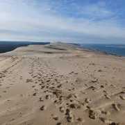 Visite guidée de la Dune du Pilat