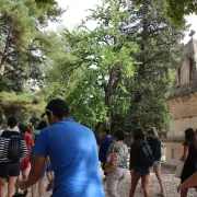 Visite guidée des Alyscamps (nécropole antique et médiévale, église romane)