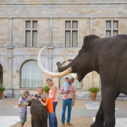 Visite guidée des collections 100 000 ans de Préhistoire en Touraine