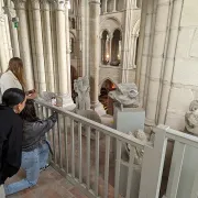 Visite guidée des hauteurs de la cathédrale à Laon