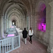 Visite guidée des hauteurs de la cathédrale à Laon