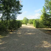 Visite guidée du Jardin des Arbres \