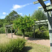 Visite guidée du Jardin des Arbres \