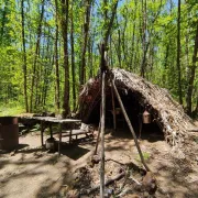 Visite guidée du Maquis de Durestal