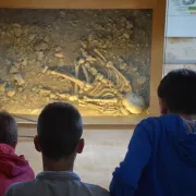 Visite guidée du Musée