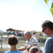 Visite guidée du petit musée de l\'huître