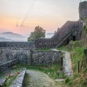 Visite guidée :  du royaume de Navarre à Compostelle