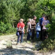 Visite Guidée : Forêt Dunaire de Camicas