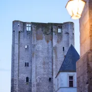 Visite guidée : La découverte du Castrum de Beaugency