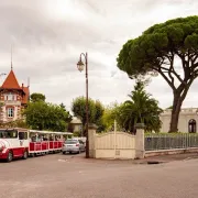 Visite Guidée : Le Petit Train / La Panoramique