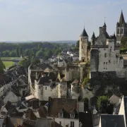 Visite guidée - Loches, ville musée ou ville vivante ?