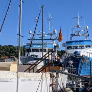 Visite Guidee Port-Vendres Au Fil De L\'Eau