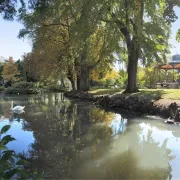 Visite Guidée : Tours au fil des quartiers - le quartier des Prébendes