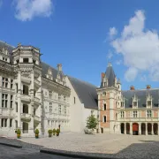 Visite insolite du château royal de Blois