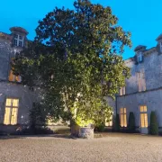 Visite nocturne au Château de Cazeneuve