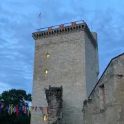 Visite nocturne de la Tour de l\'Honneur