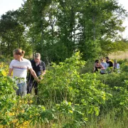 Visite pédagogique de la forêt comestible \