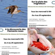 Visites guidées thématiques au Parc Ornithologique