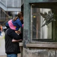 L'oiseau fait partie de l'œuvre d'art urbain&nbsp;"Le retour du refoulé" de Levalet &copy; Oliver Dietze / Weltkulturerbe Völklinger Hütte