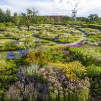 L'Oudolf Garten, devant la VitraHaus DR