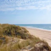 Vivre avec le risque avec le CPIE Médoc (Réservation obligatoire)