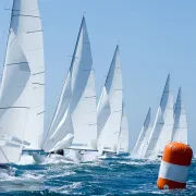 Voile Championnat Bananes