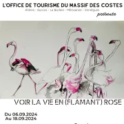 Voir la vie en (flamant) rose - Exposition Sonja Froment