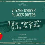 Voyage d'hiver, pliages divers,venez fêter la nouvelle année avec Julie du Poitou - à Port Boinot, Niort