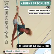 Workshops aériens spécialisés