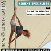 Workshops aériens spécialisés