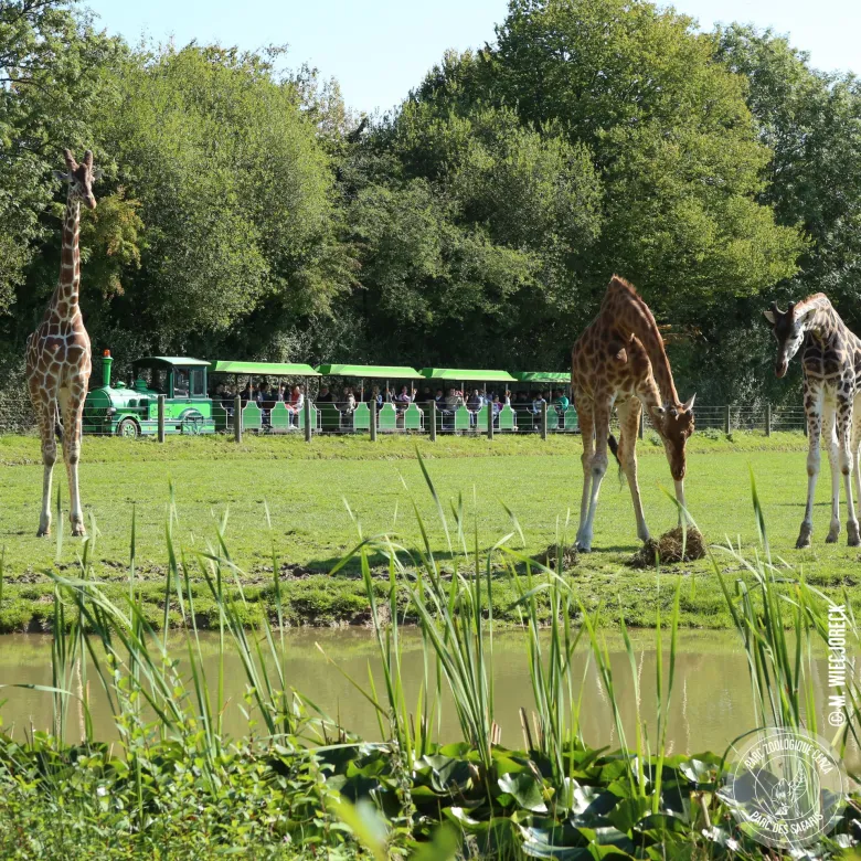 Petit train du zoo de CERZA