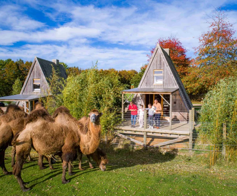 Lodge du zoo de CERZA