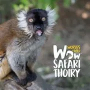 ZooSafari de Thoiry